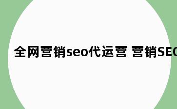 全网营销seo代运营 营销SEO